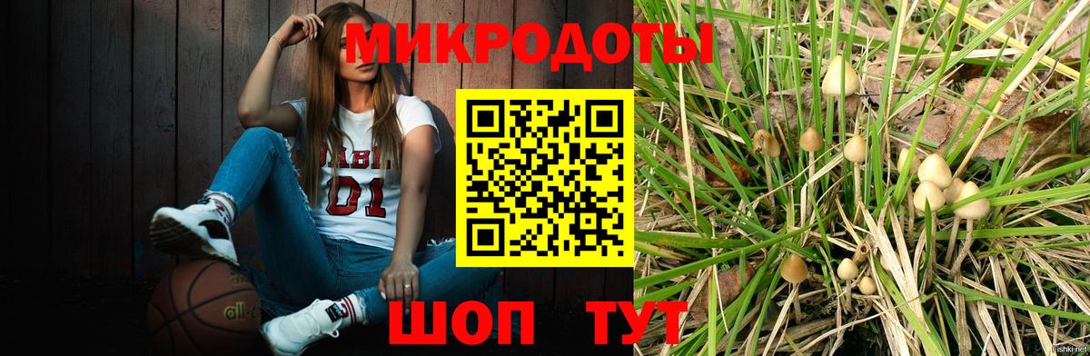 Учалы  Галлюциногенные грибы Cubensis  Вход с VPN 